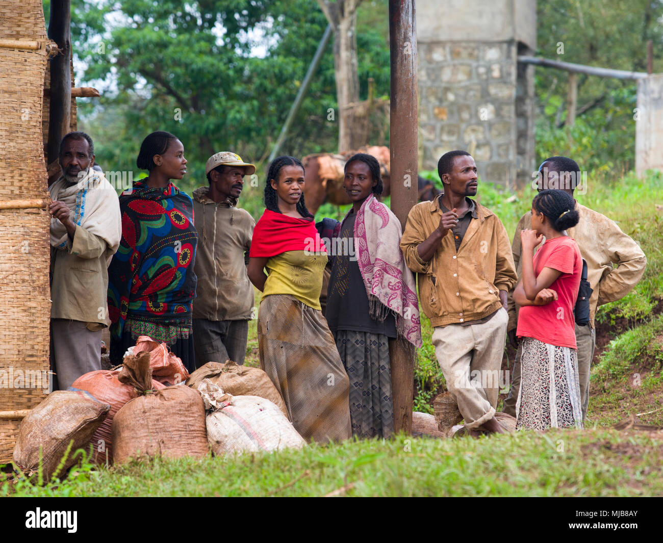 Coffee farmers, having some gossip, expecting for the coffee to be weighted by the processing mill of Negele Gorbitu coop near Yirgacheffe, Ethiopia Stock Photo