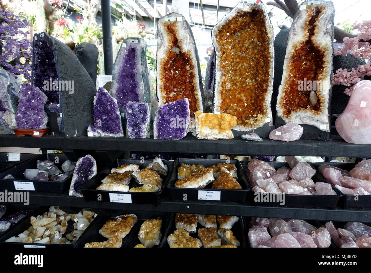 citrine crystals and Amethyst crystal caves on display Stock Photo