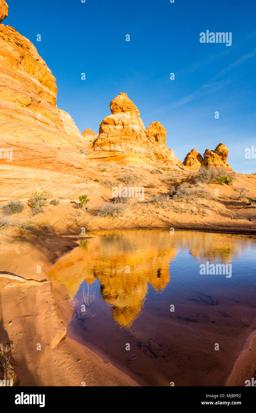 Reflection Of Colorful Sandstone Tepee Formations Cottonwood Access reflection-of-colorful-sandstone-tepee-formations-cottonwood-access