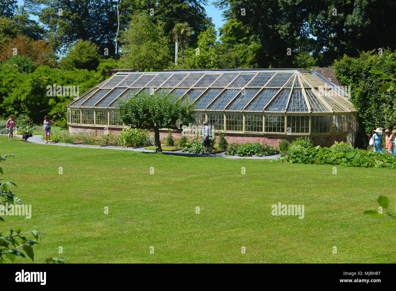 National Trust Greenway House And Gardens Kingswear Brixham Devon Was The Holiday Home Of Agatha Christie And Her Family The Magnificent Woodland Stock Photo Alamy