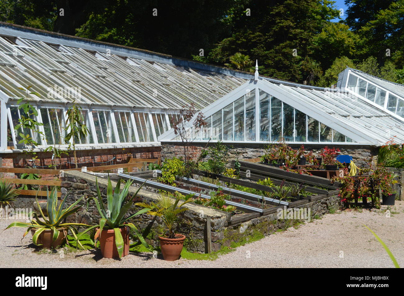 National Trust, Greenway House and Gardens, Kingswear, Brixham, Devon