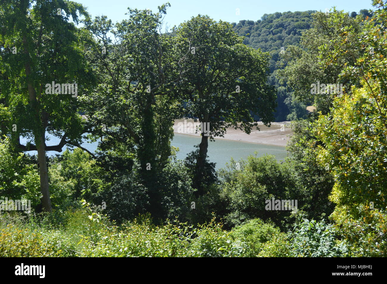 National Trust, Greenway House and Gardens, Kingswear, Brixham, Devon