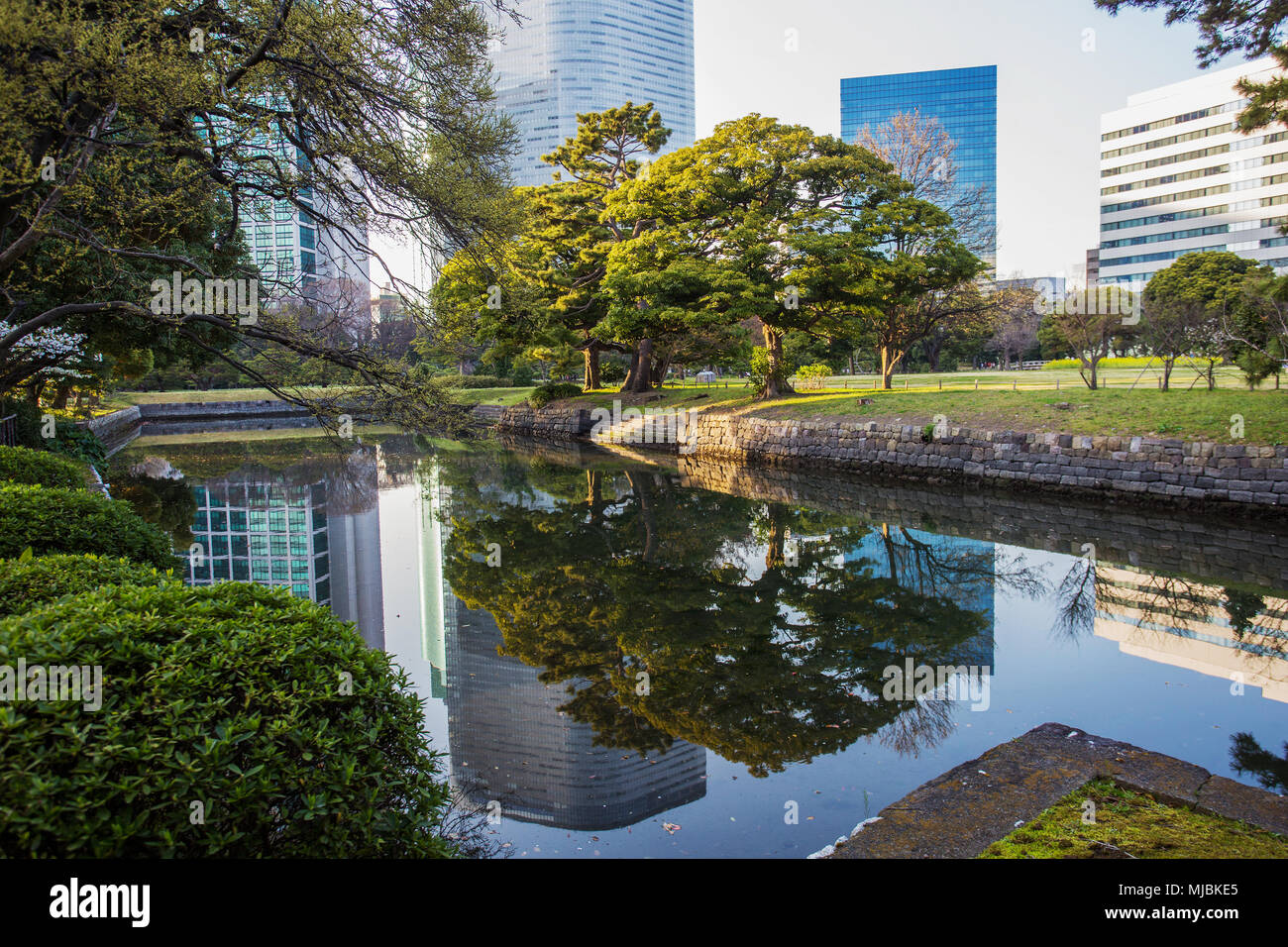 Hamarikyu Gardens are situated near skyscrapers and it is wonderful contrast of nature and urban. Tokyo, Japan. March , 2015 Stock Photo - Alamy