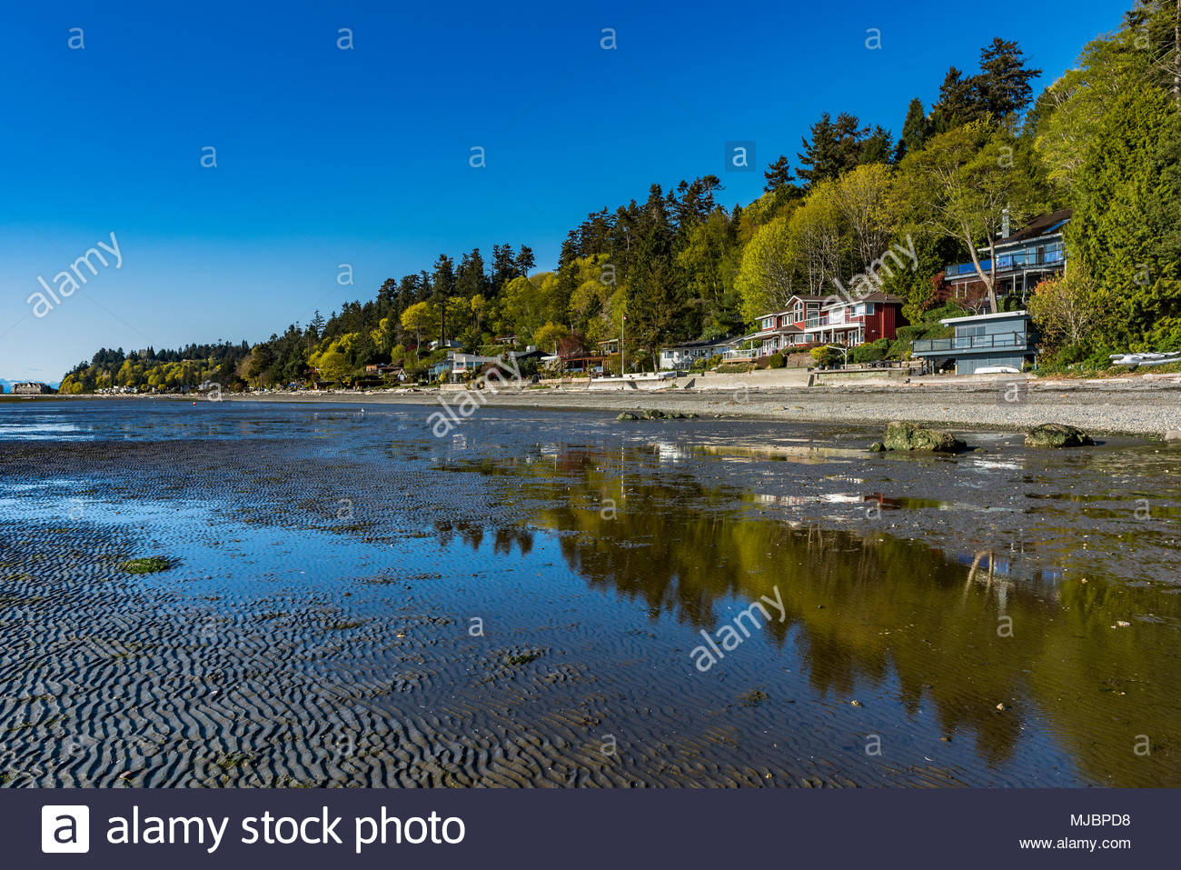 Tsawwassen Stock Photos & Tsawwassen Stock Images Alamy