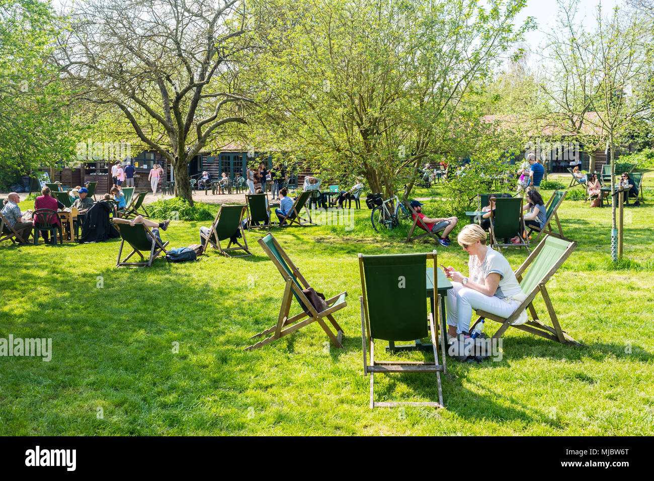 Tea garden grantchester hires stock photography and images Alamy