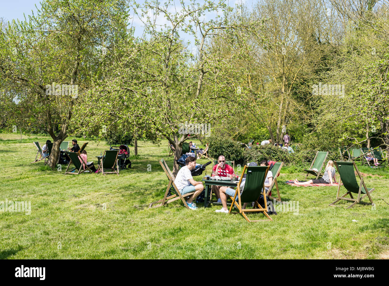 People eating and drinking tea outside while enjoying the warm spring
