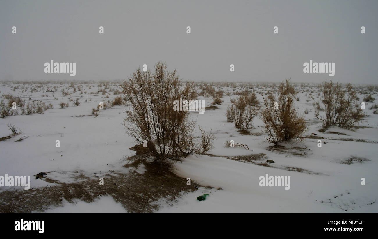 Snow in the Kyzylkum desert in Uzbekistan Stock Photo
