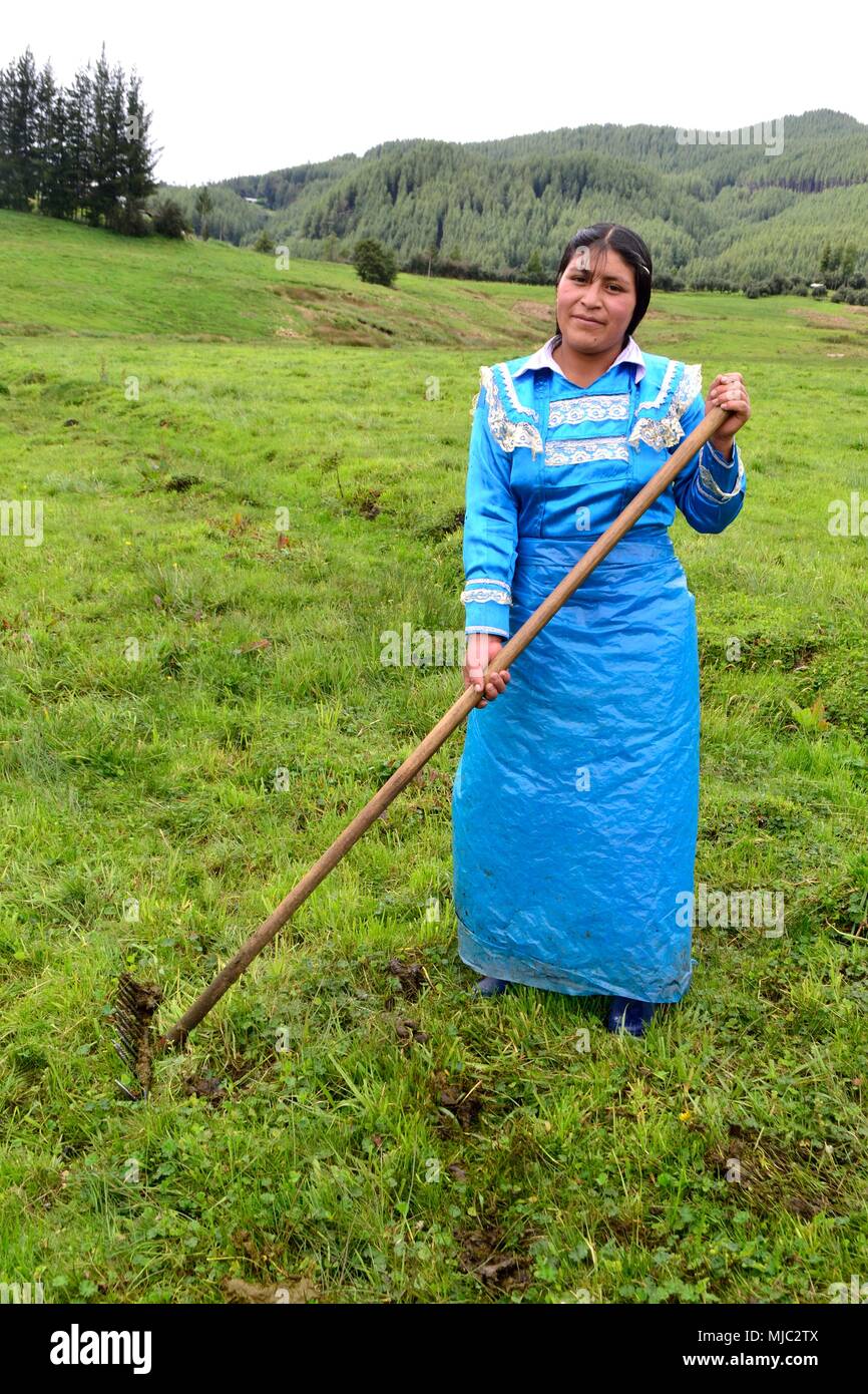 Girl with cow dung hi-res stock photography and images - Alamy