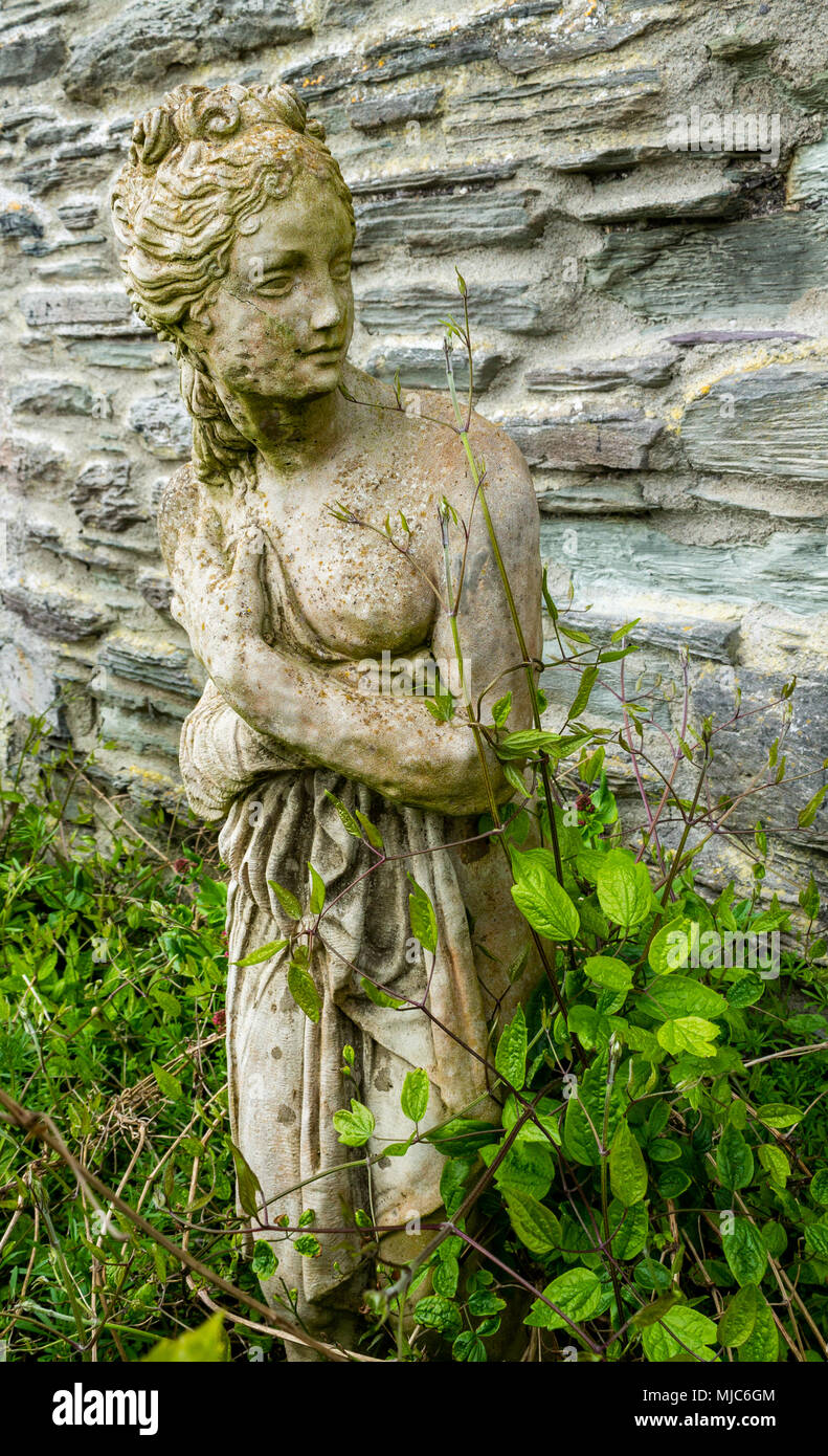 garden ornaments looking like greek statues being slowly overgrown by ivy and clematis growing in the spring sunshine. Stock Photo