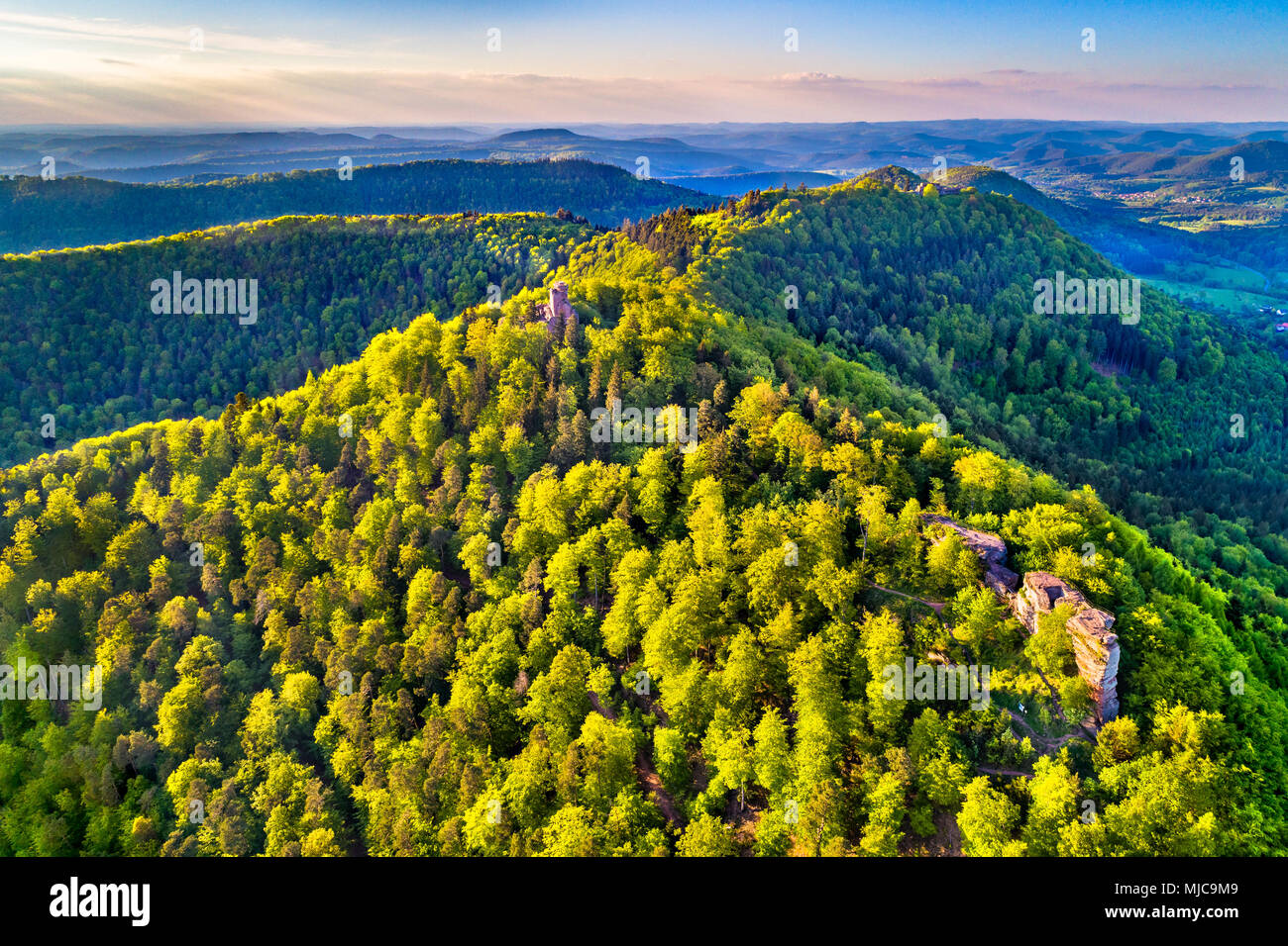 Chateau de Loewenstein, a ruined castle in the Northern Vosges Mountains - Bas-Rhin, Alsace, France Stock Photo