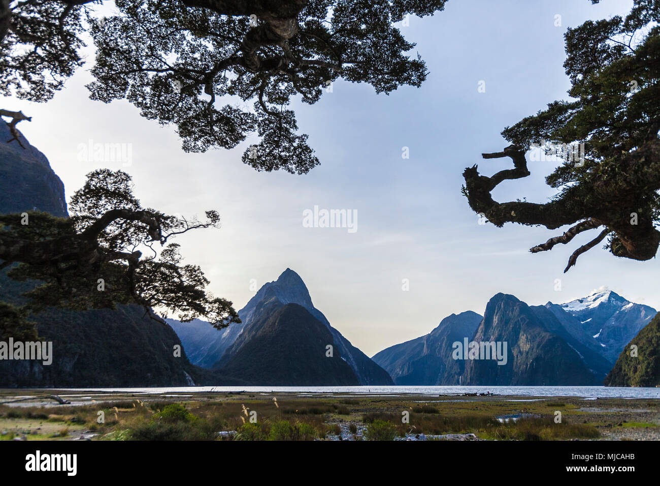 dramatic landscape of Milford sound, Fjordland, New Zaland,south Island Stock Photo