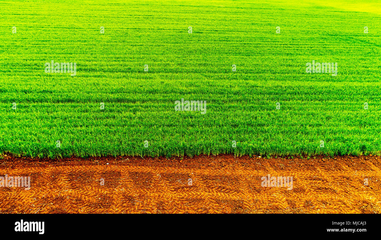 Aerial view over the agricultural fields Stock Photo