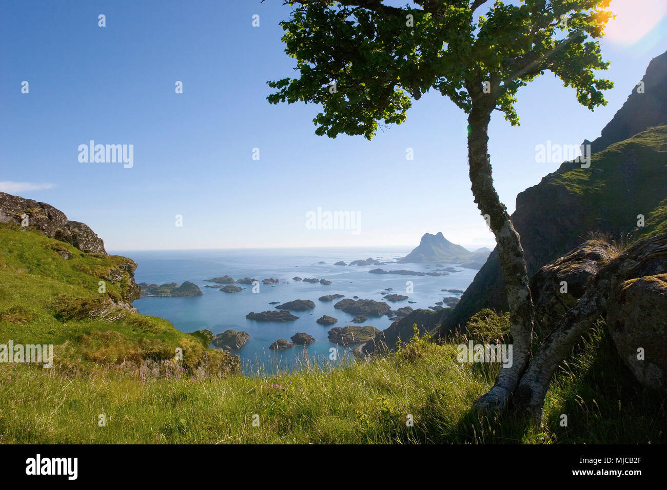 sea and landscape in the Lofoten Islands, Northern Norway Stock Photo