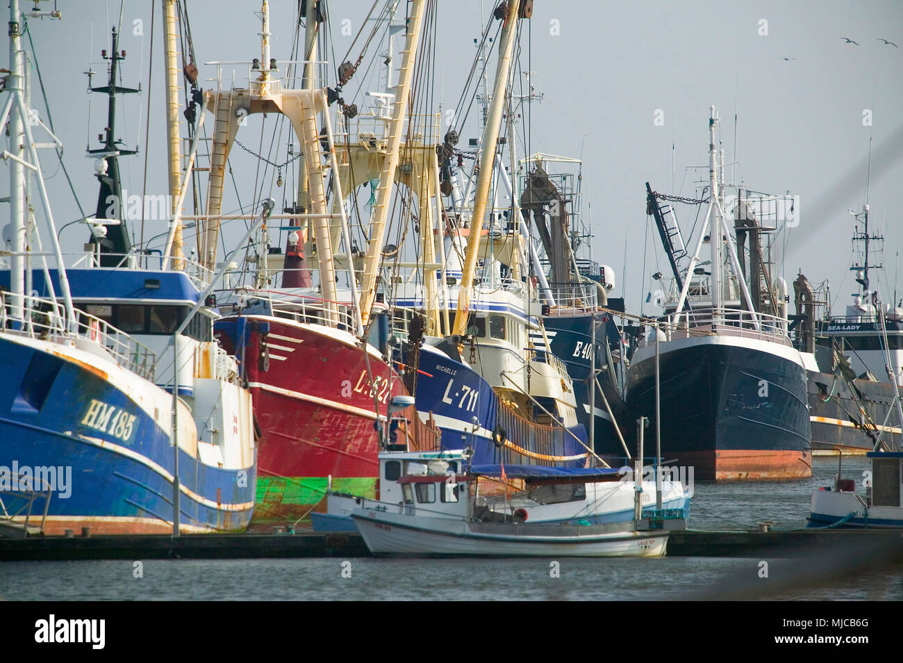 fishing fleet in the harbour of Thyborøn, Jylland, Danmark Stock Photo