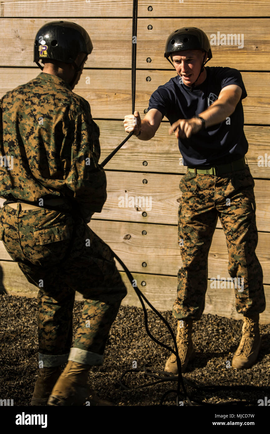 A Drill Instructor From Marine Corps Recruit Depot Parris Island Stock