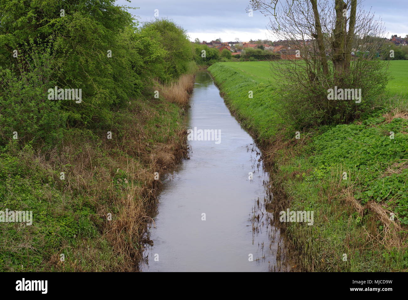 Winteringham Haven, North Lincolnshire, looking south, UK Stock Photo