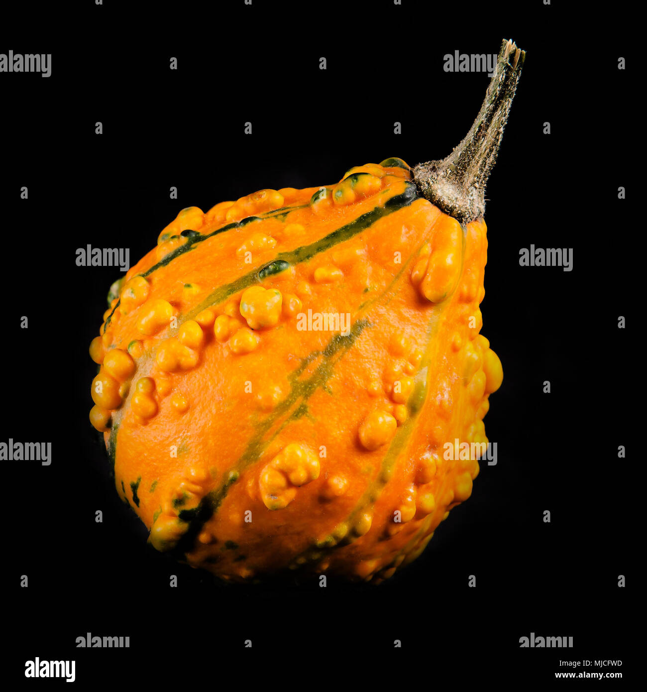 decorative gourd on black background Stock Photo Alamy