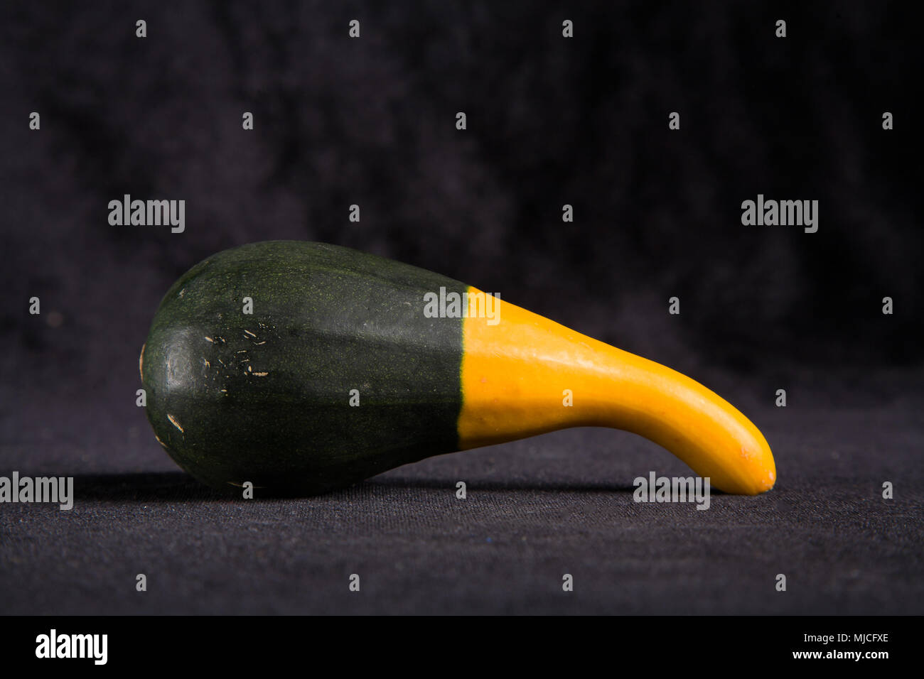 decorative gourd on black background Stock Photo Alamy