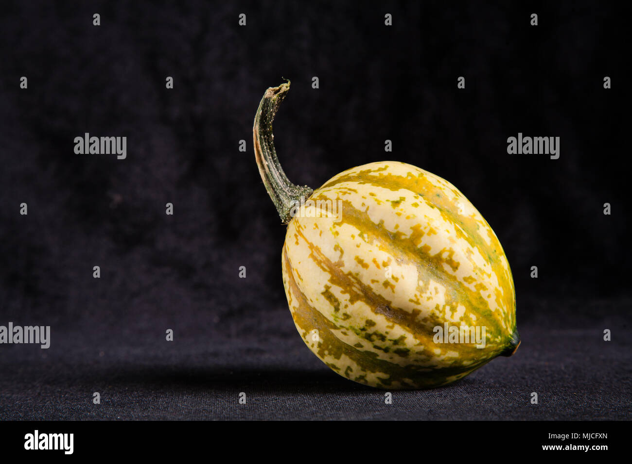 decorative gourd on black background Stock Photo Alamy