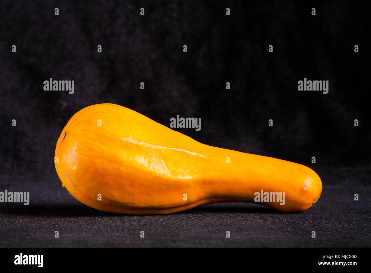decorative gourd on black background Stock Photo Alamy
