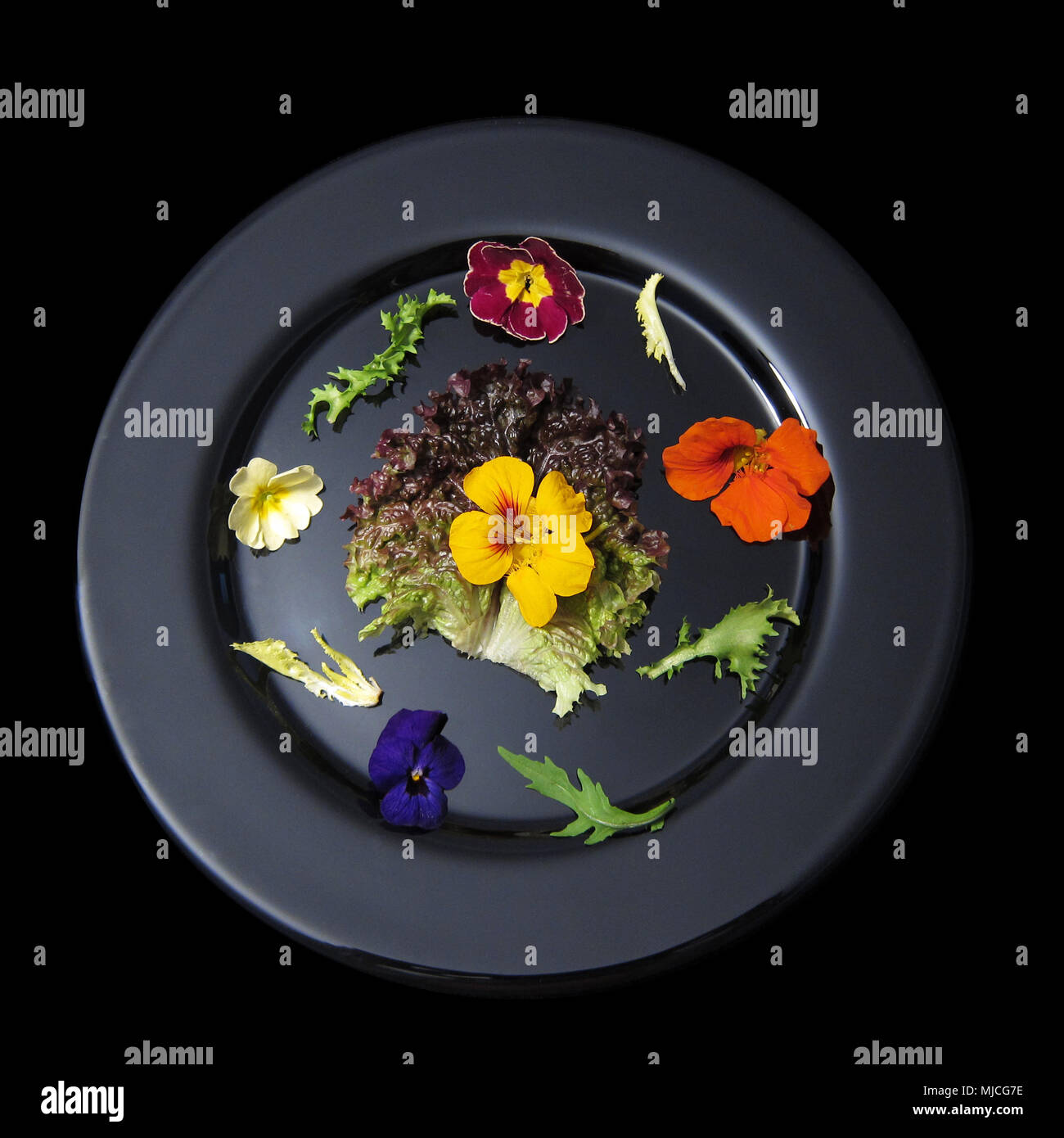black plate with flowers and salad Stock Photo Alamy