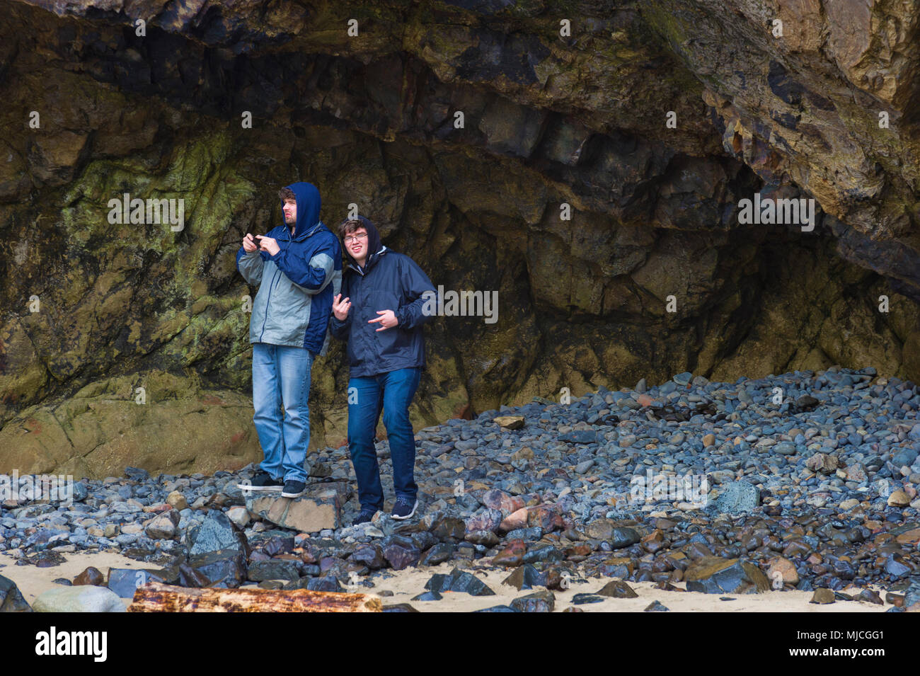 Brothers find shelter from the wind and rain in a carved out section of a large hillsdie on the Oregon Coast.  One is taking cellphone pictures while  Stock Photo