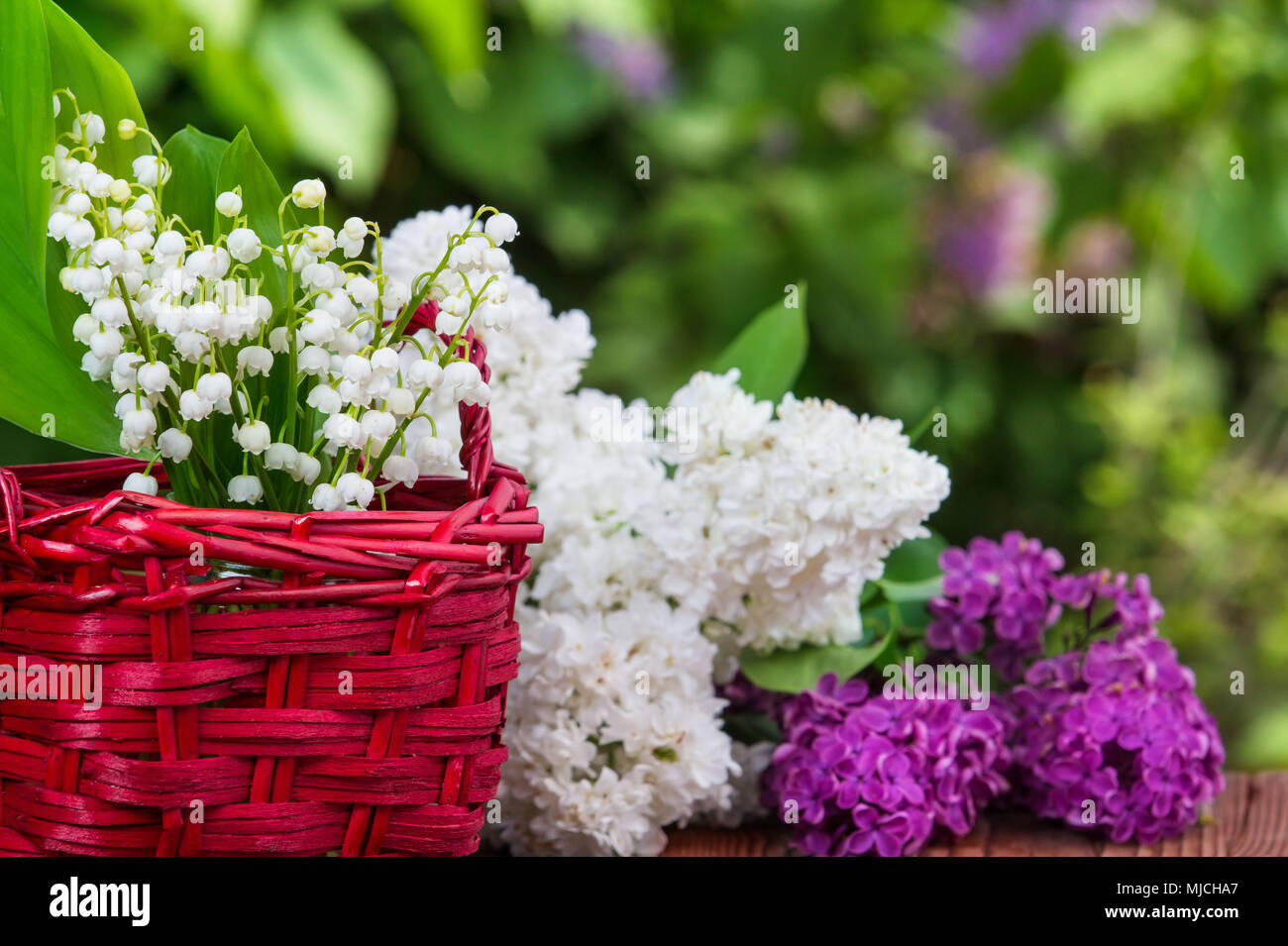 Lilies of the valley and lilacs Stock Photo Alamy