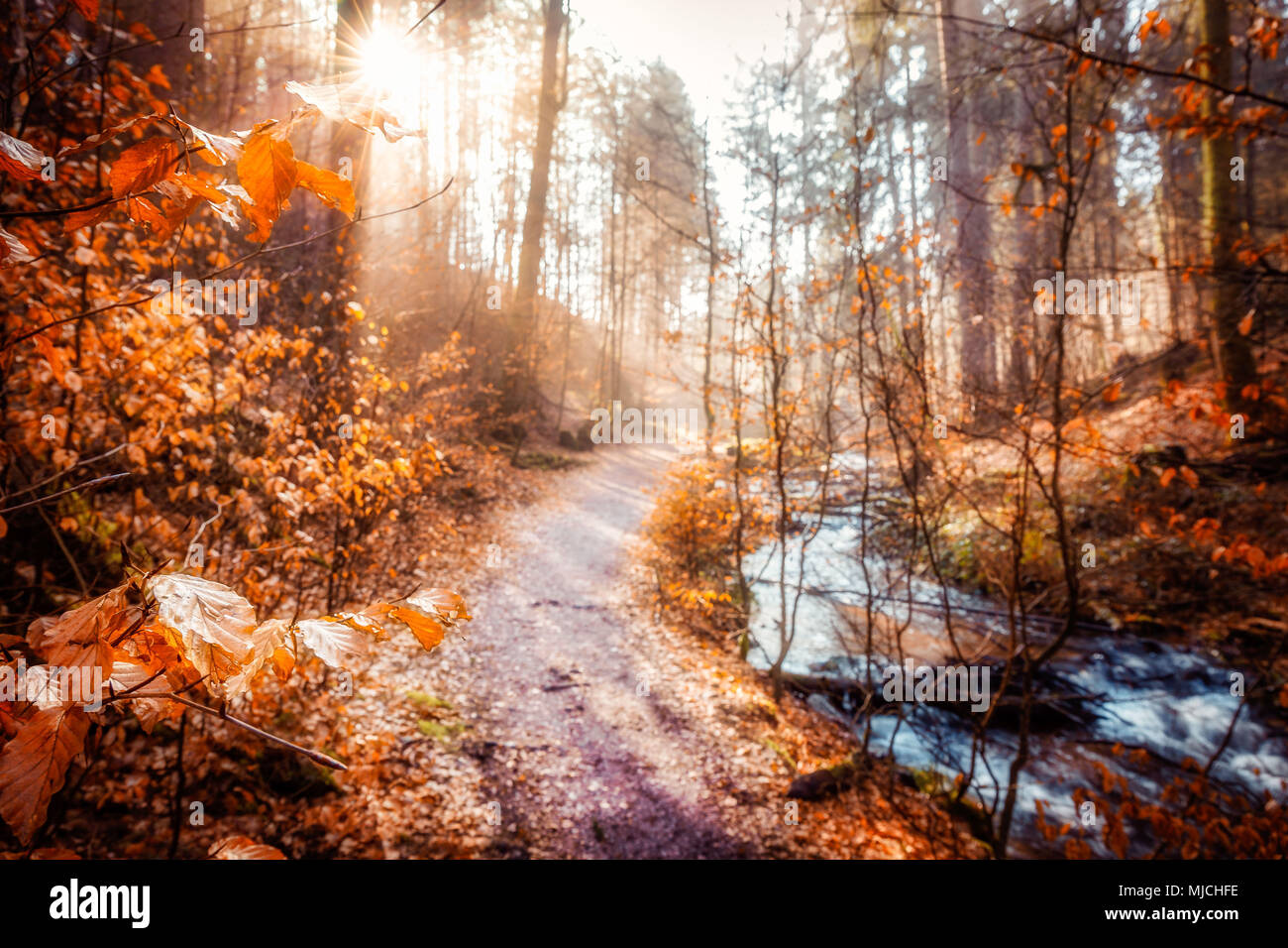 Winter Morning in the Karlstal valley near Trippstadt Stock Photo