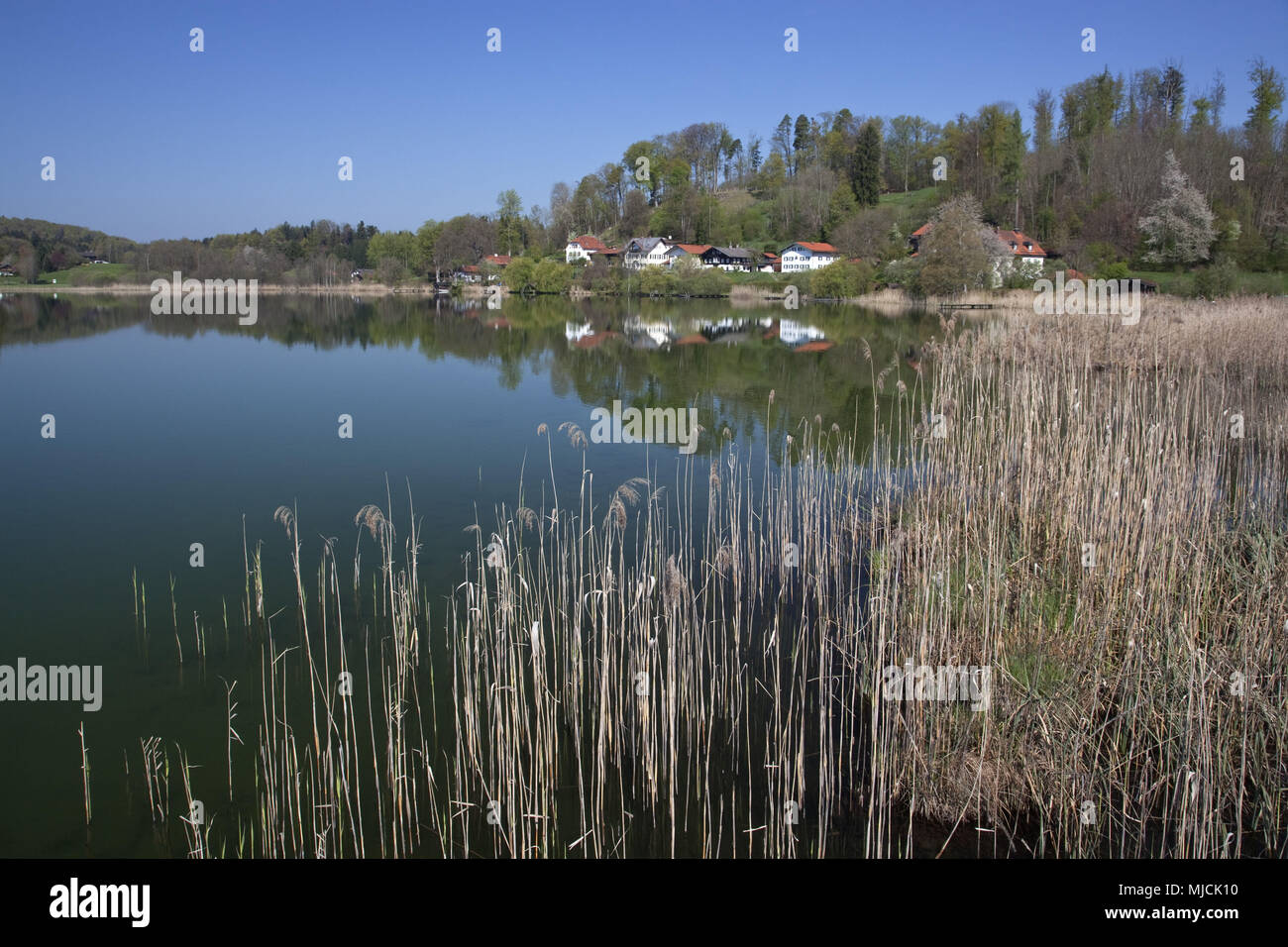 Seeon in the abbey lake, Seeon-Seebruck, Chiemgau, Upper Bavaria, Bavaria, South Germany, Germany, Stock Photo