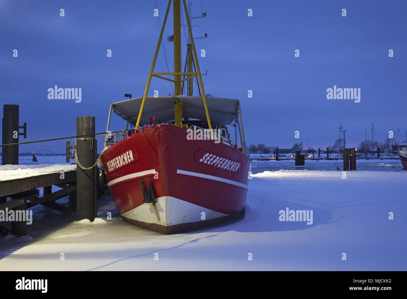 Winter in the harbour, Burgstaaken, Wulfener neck, island Fehmarn, Schleswig - Holstein, North Germany, Germany, Stock Photo