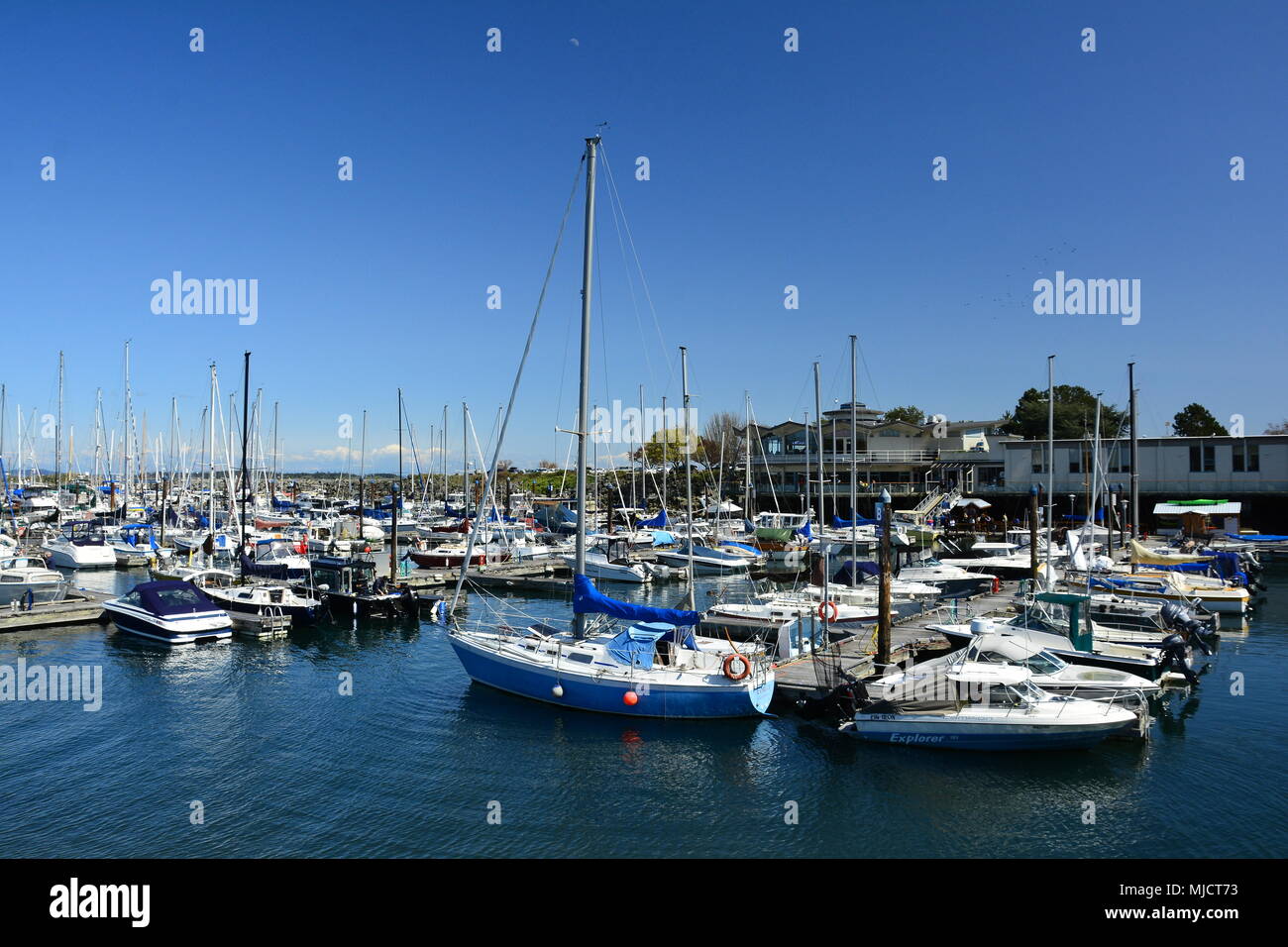 Oak Bay marina filled with boats in Victoria BC,Canada. Stock Photo