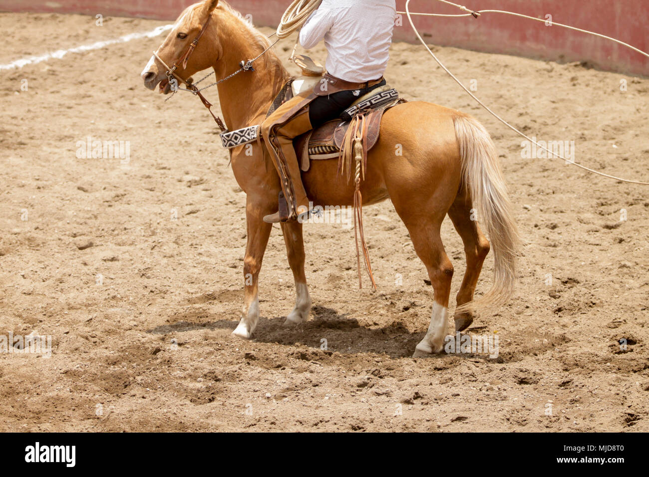 Mexican charro on horseback performing a lasso trick, charreria, charro Stock Photo