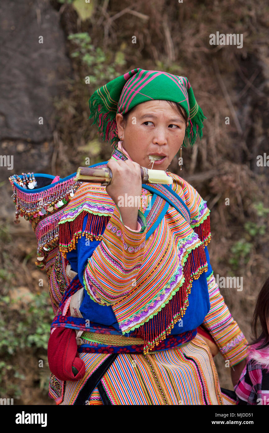 Hmong woman eating sugar cane at Can Cau market, Vietnam. Stock Photo