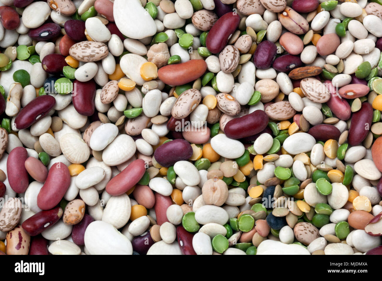 White navy beans hires stock photography and images Alamy