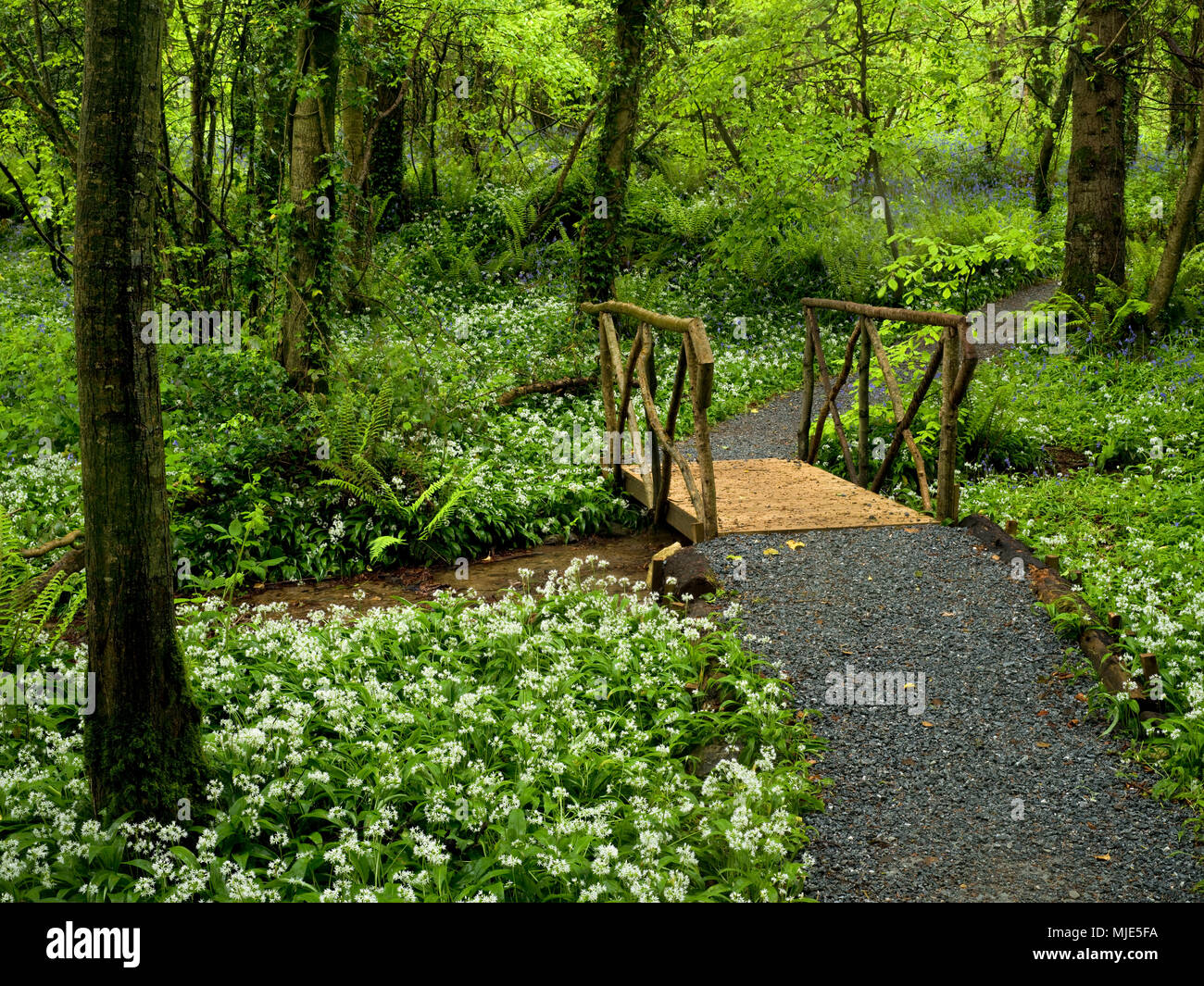 Hook bridge hires stock photography and images Alamy