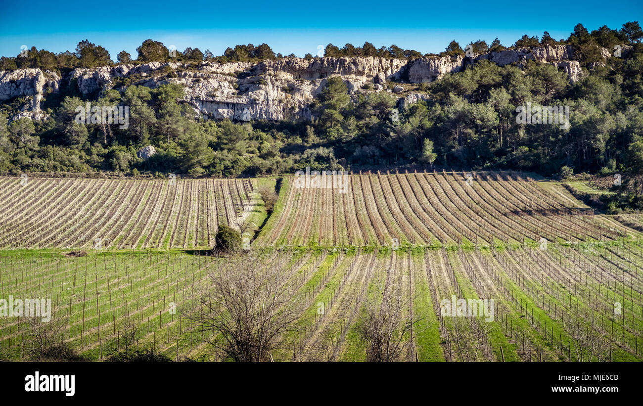 La Clape, wine field in front of rock massif Stock Photo