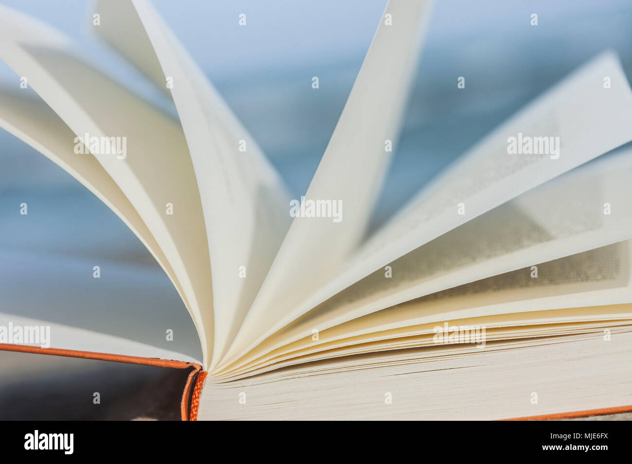 Book lying on the beach, sea behind Stock Photo