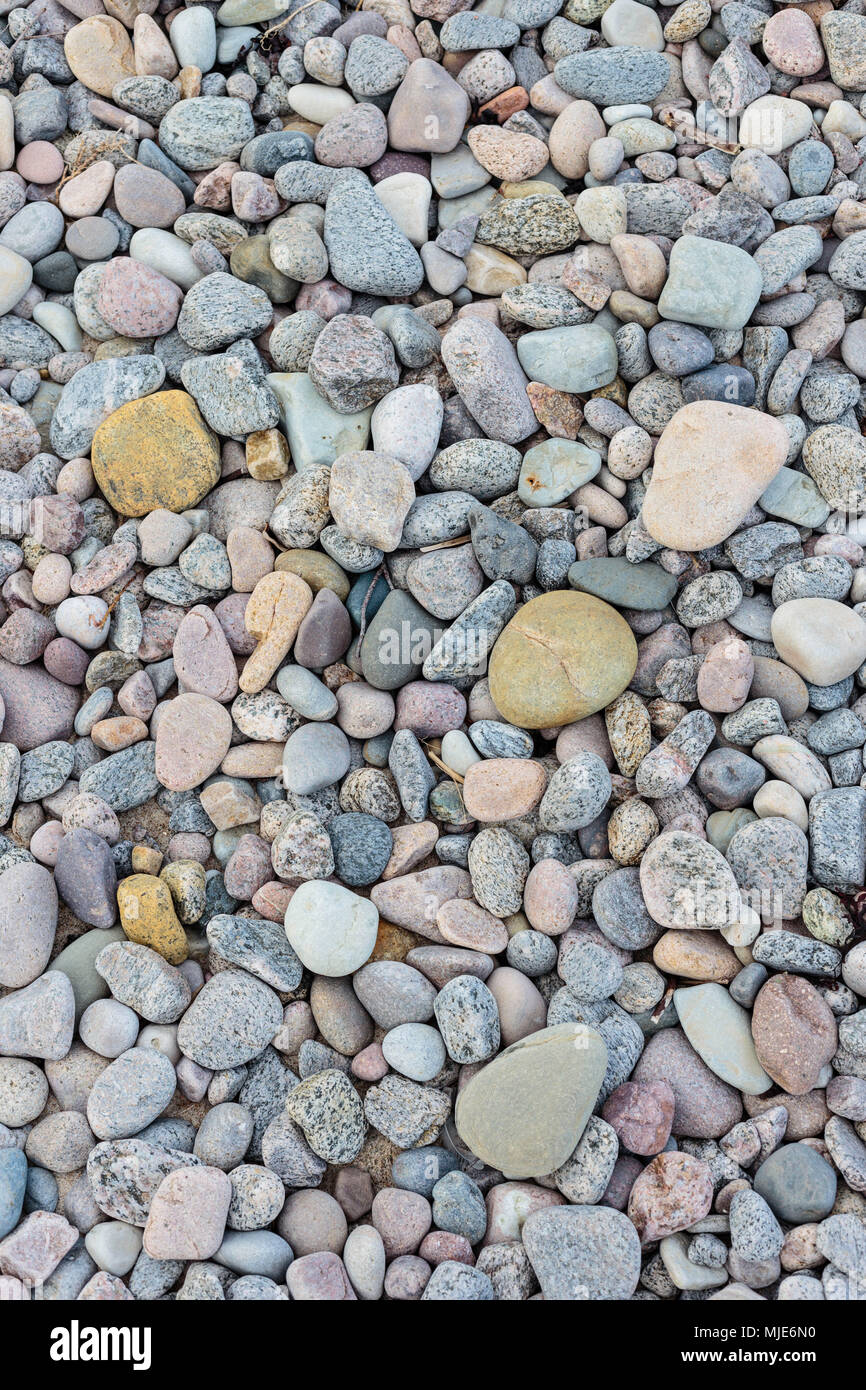 Colorful pebbles on an idyllic beach (Kobbeå) south of Tejn, Europe, Denmark, Bornholm, Stock Photo