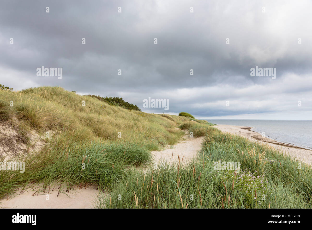 Dark clouds over the beach of Vester Sømarken, Europe, Denmark, Bornholm, Stock Photo