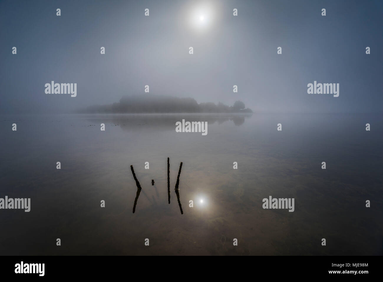 Nice lake with fog hi-res stock photography and images - Alamy