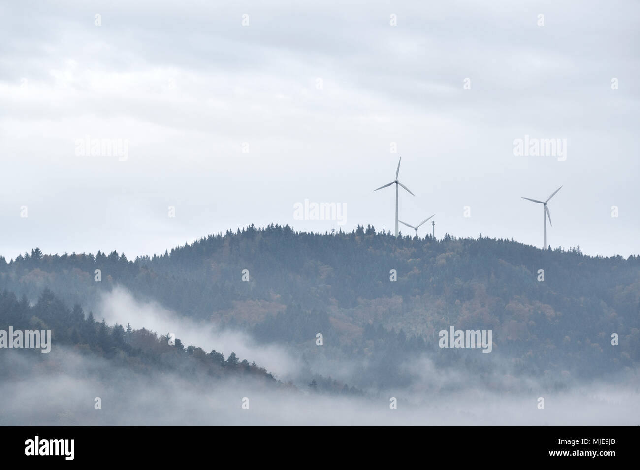 three wind turbines on a mountain in the Black Forest, forest, rain and fog Stock Photo