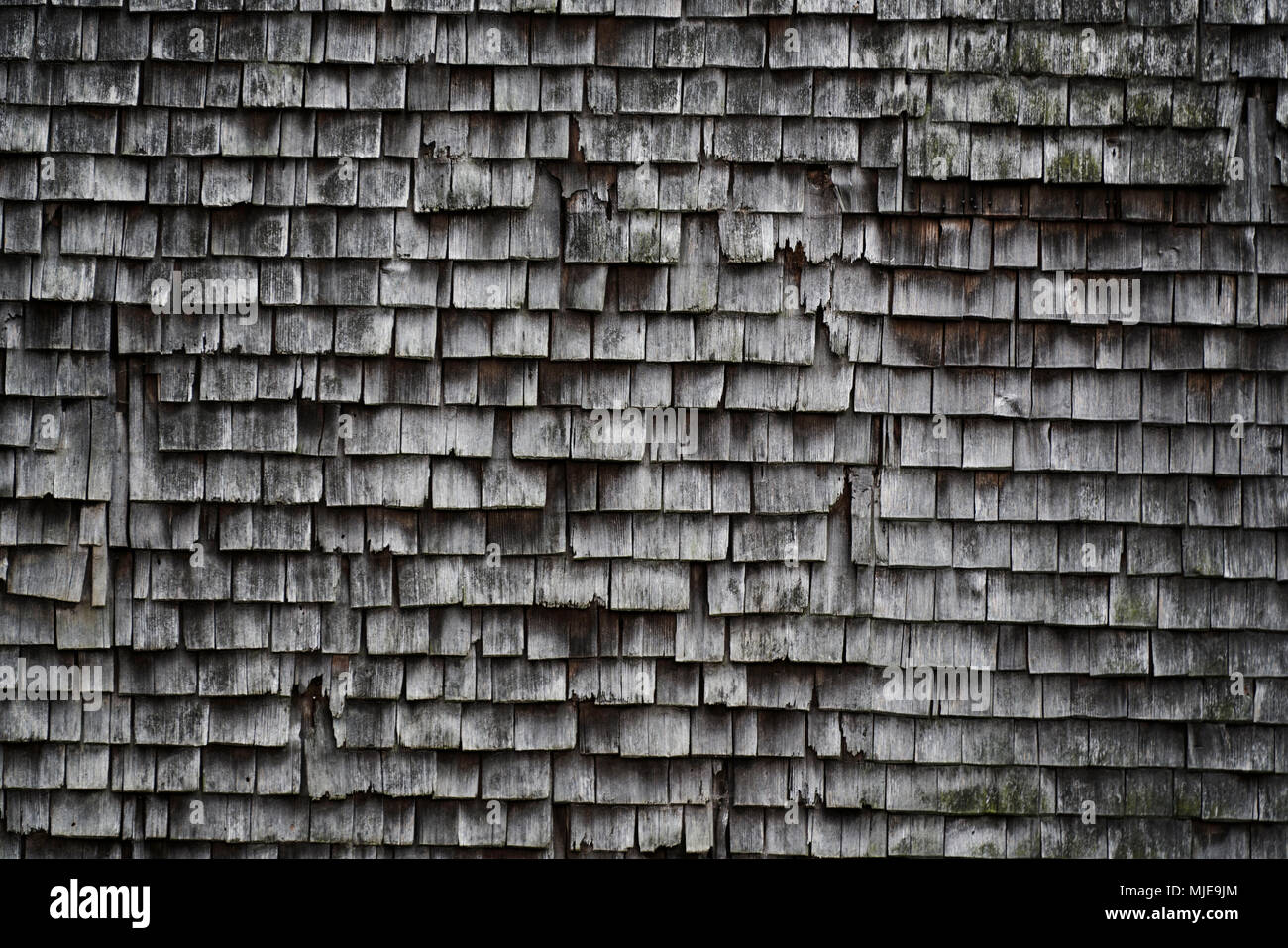 old shingles, grey and weathered on a wooden house in the Black Forest, detail Stock Photo