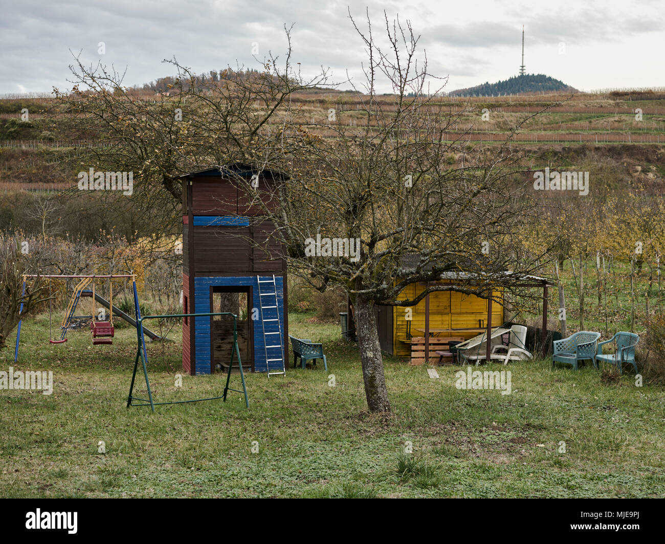 Garden hut with swing in a meadow, in the background vineyards, autumn Stock Photo