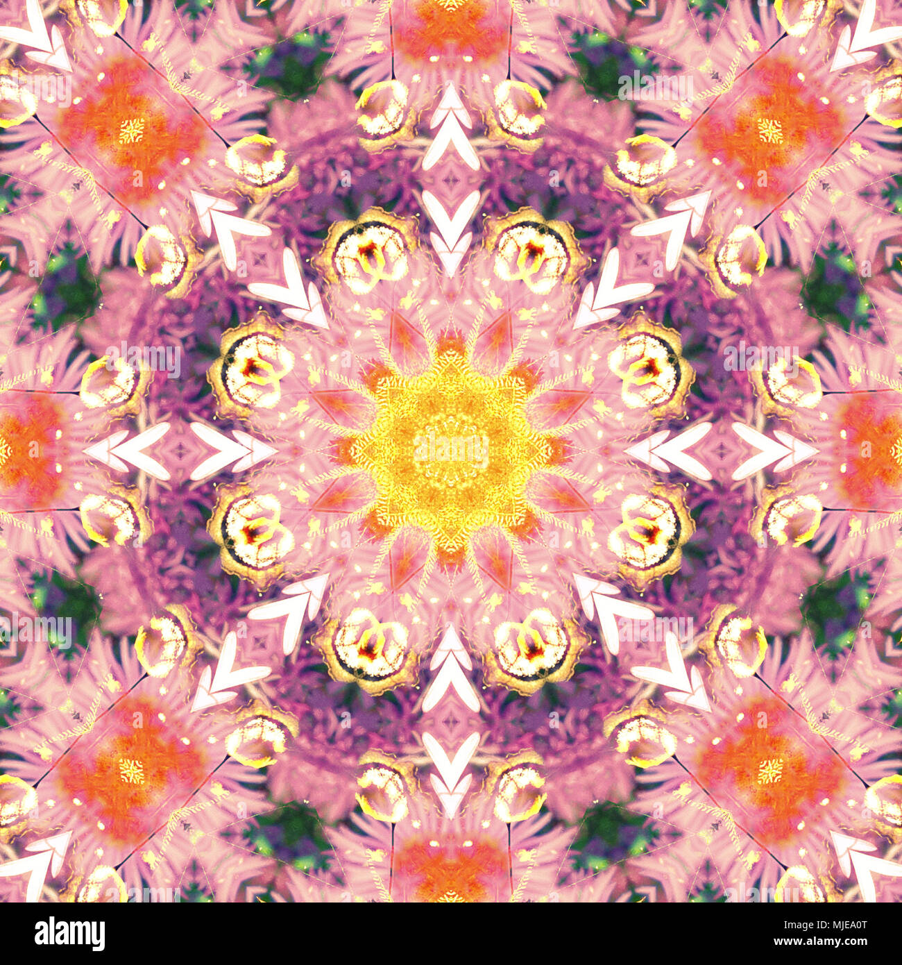 photographic flowers mandala Stock Photo - Alamy