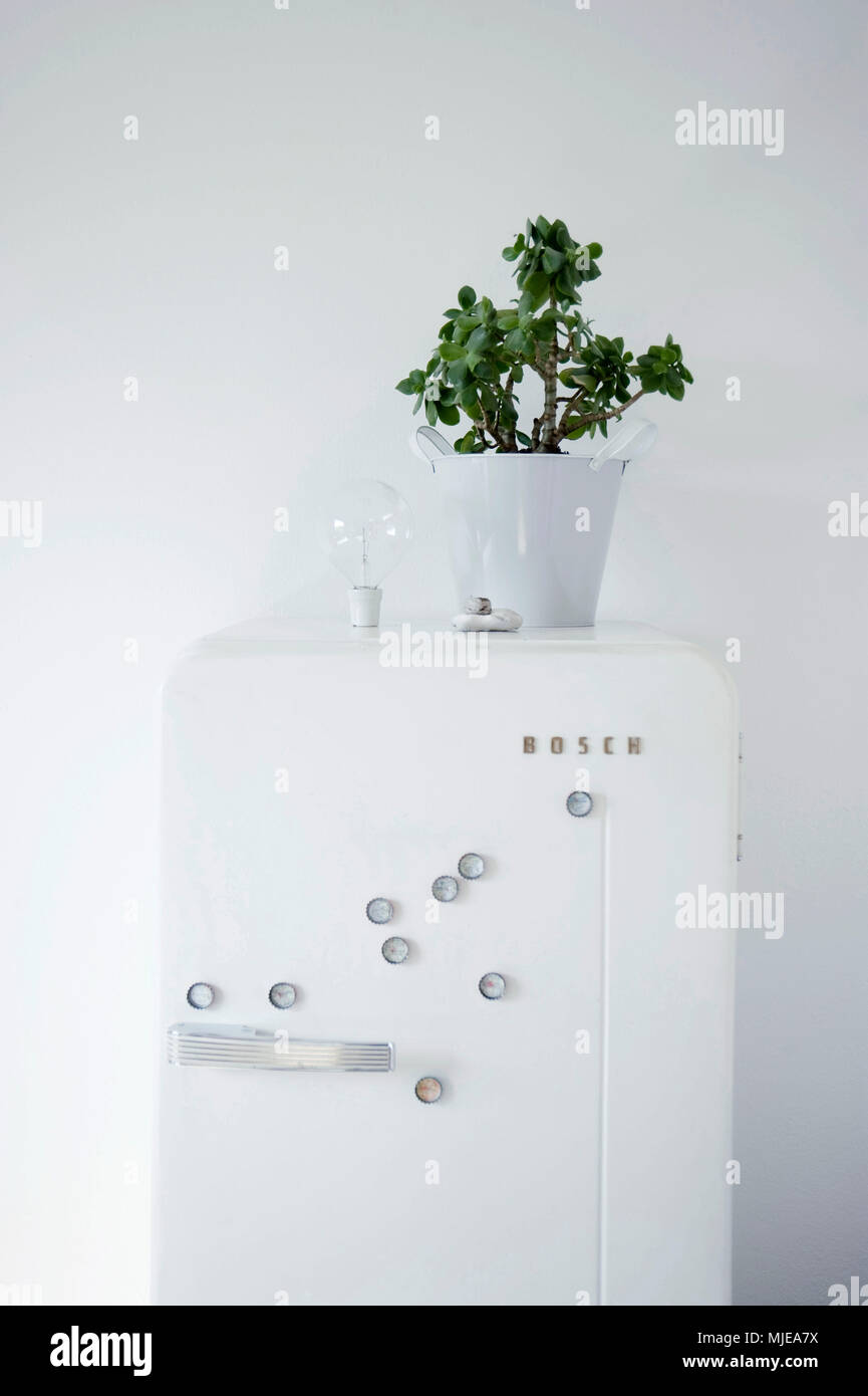 DIY, flower pot on fridge, fridge made of bottle caps Stock