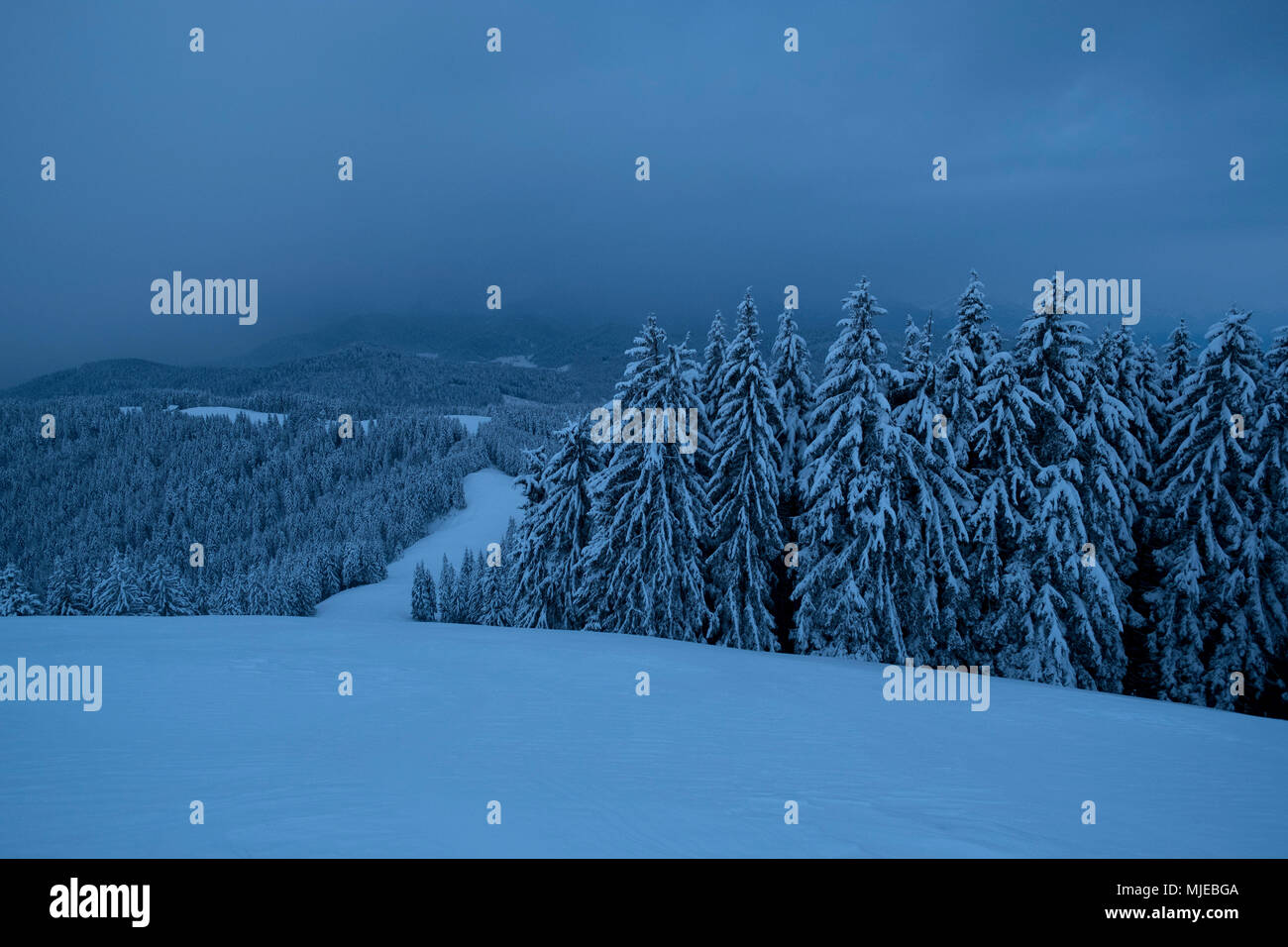 Morning mood at Zwiesel in winter, close Bad Tölz, Bavarian Alps, Bavaria, Germany, Stock Photo
