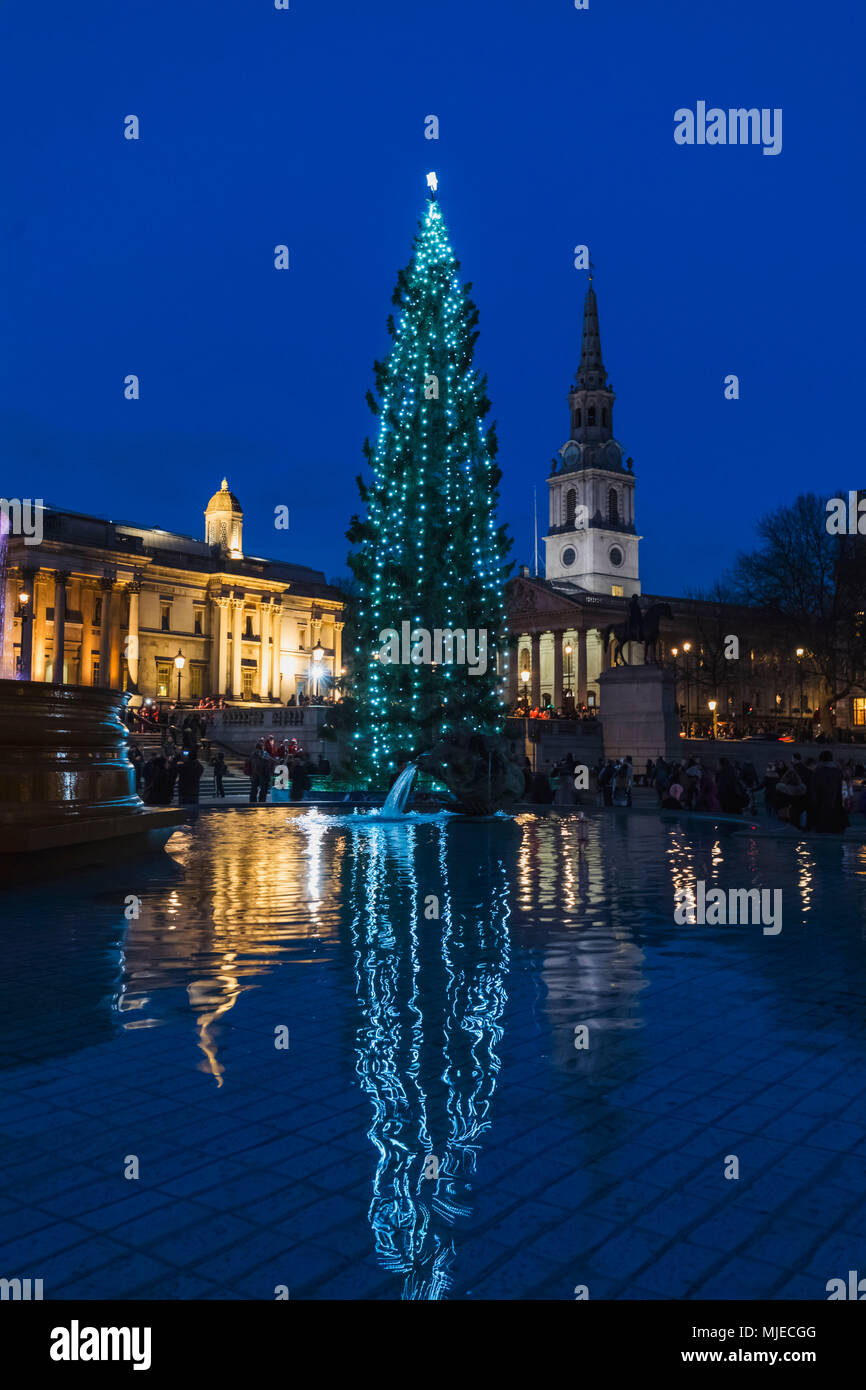 England, London, Trafalgar Square and Christmas Tree Stock Photo