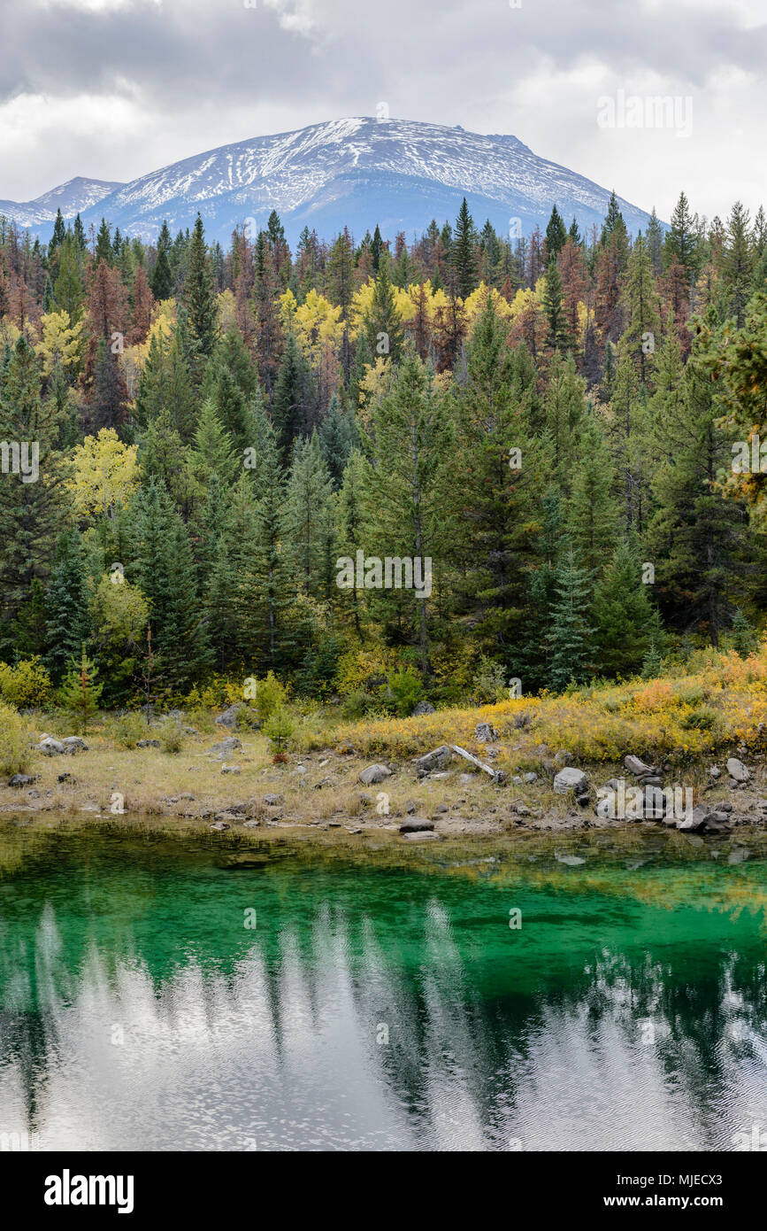 Valley of the Five Lakes, Alberta, autumn, fall, colorful, forest, turquoise, trees, water, Rocky Mountains Stock Photo