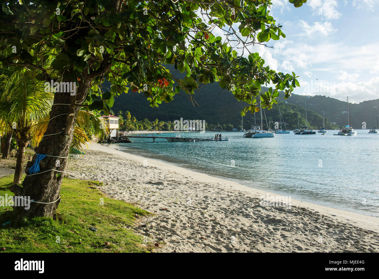 Cane Garden Bay, Tortola, British Virgin Islands Stock Photo