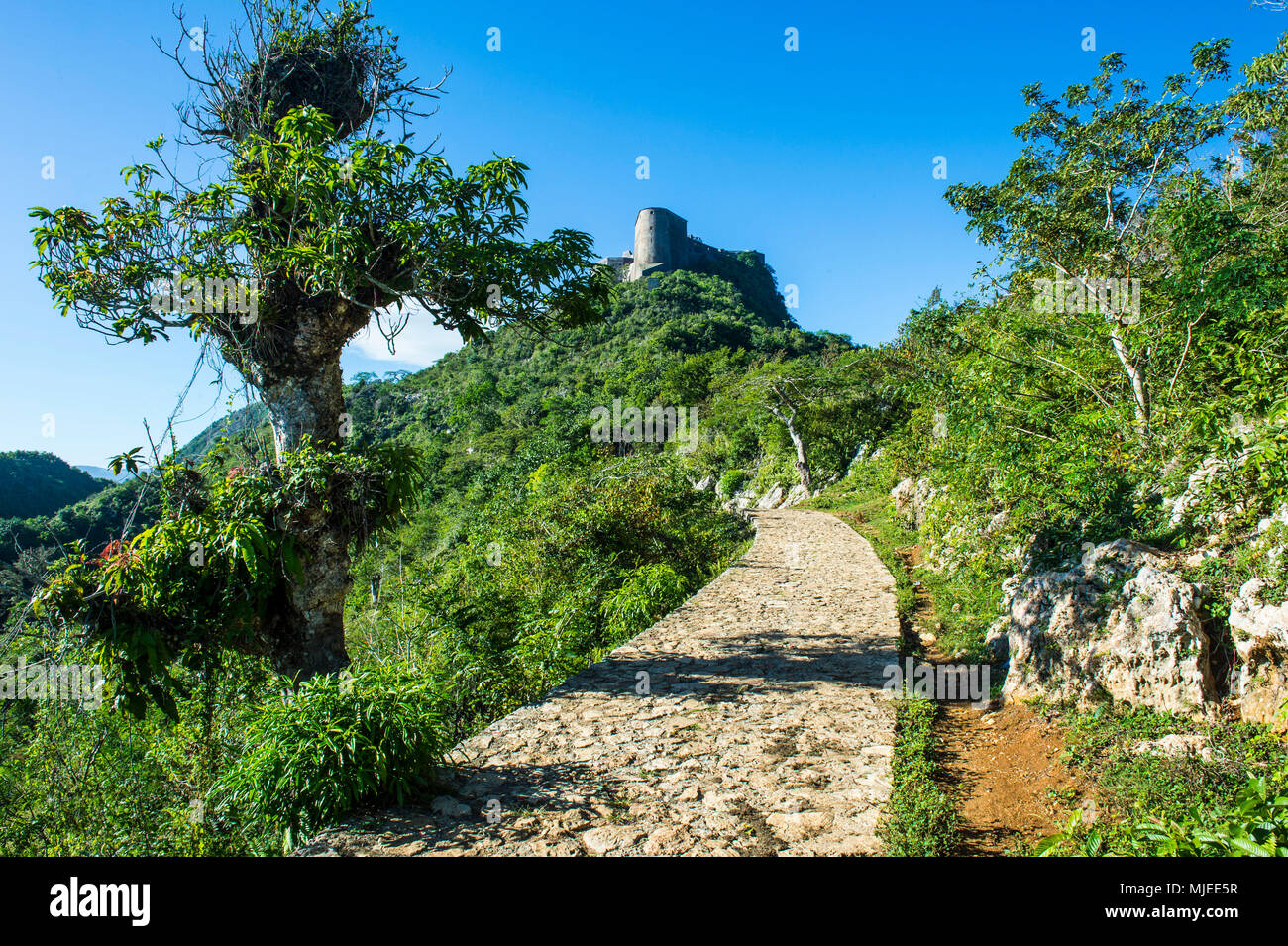 Cobblestone road leading up to the Unesco world heritage sight the  Citadelle Laferriere, Cap Haitien, Haiti, Caribbean Stock Photo